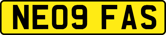 NE09FAS