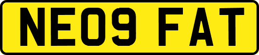 NE09FAT
