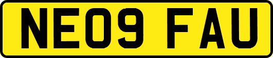 NE09FAU