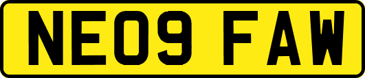 NE09FAW