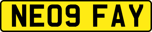 NE09FAY