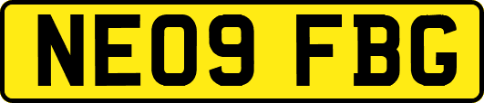 NE09FBG