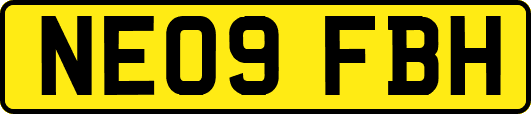 NE09FBH