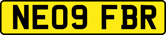 NE09FBR