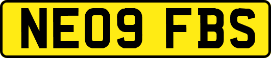 NE09FBS