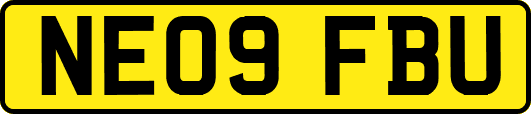 NE09FBU