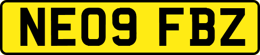 NE09FBZ