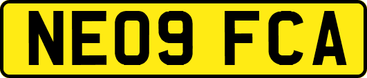NE09FCA