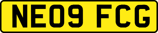 NE09FCG