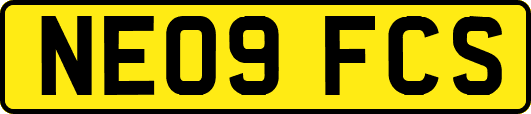 NE09FCS