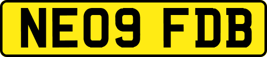 NE09FDB