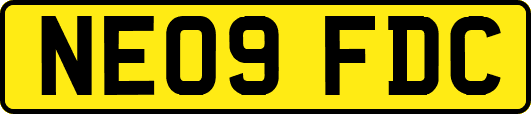 NE09FDC