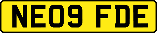NE09FDE