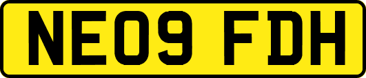 NE09FDH