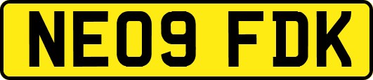 NE09FDK