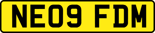 NE09FDM