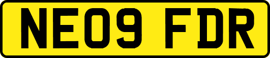 NE09FDR