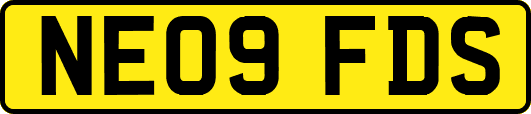 NE09FDS