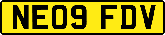 NE09FDV