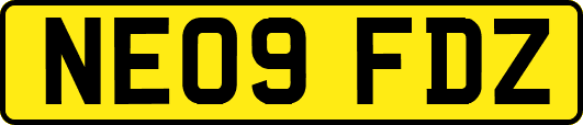 NE09FDZ