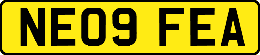 NE09FEA