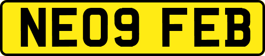 NE09FEB