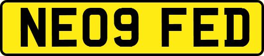 NE09FED