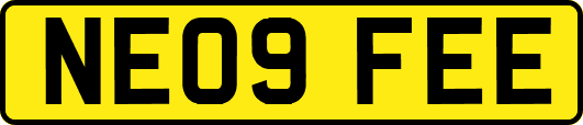 NE09FEE