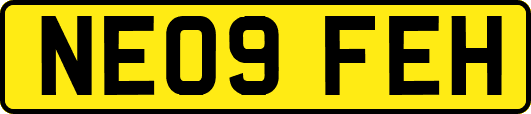 NE09FEH