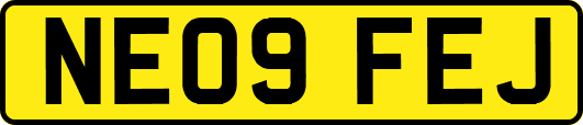 NE09FEJ