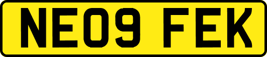 NE09FEK