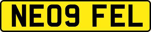 NE09FEL