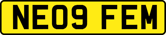 NE09FEM