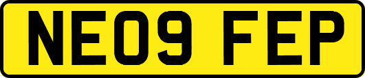 NE09FEP