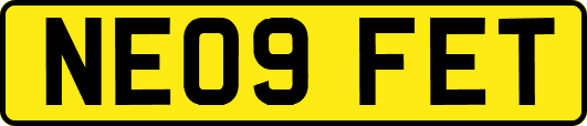 NE09FET