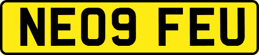 NE09FEU