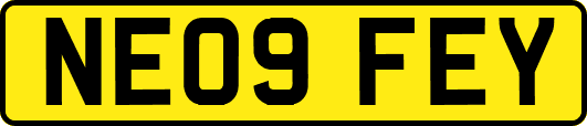 NE09FEY