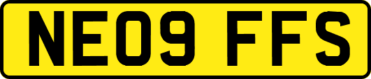 NE09FFS