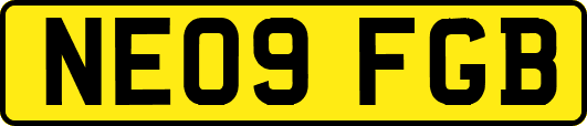 NE09FGB