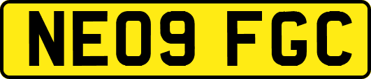 NE09FGC