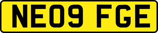 NE09FGE