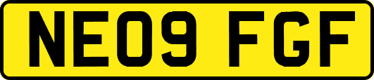 NE09FGF