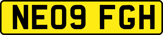 NE09FGH