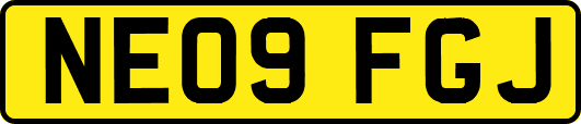 NE09FGJ