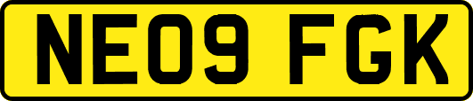 NE09FGK