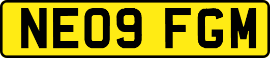 NE09FGM