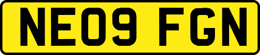 NE09FGN