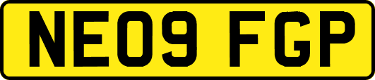 NE09FGP
