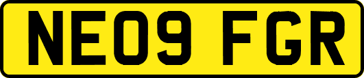 NE09FGR