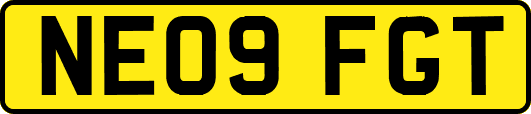 NE09FGT